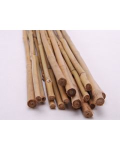 Bamboestokken - Tonkinstokken 1,20m ø 10-12mm 4vt