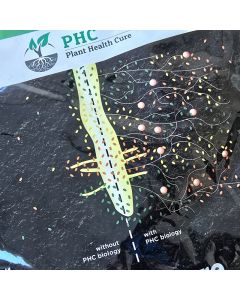 Mycordip worteldip 400g