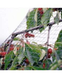 Robusta Tuinnet 2x10m