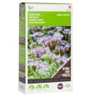 Groenbemester Phacelia tanacetifolia 100g - bijenvoer