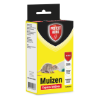 Express Lokdoos muizen Protect Home 1st