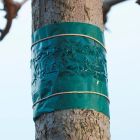 Insectenkleefband 1,5m