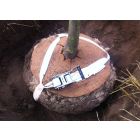 BIO Kluitverankering set Stamomtrek tot 35cm
