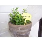 Plantetiketten/ Plaatetiketten kunststof geel 12,5cm set 10st