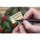 Plantetiketten/ Plaatetiketten 13cm inclusief stift - set 10st