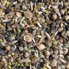 Wildbloemenmengsel Bermen 1kg