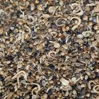 Wildbloemenmengsel Eén & Meerjarig 1kg